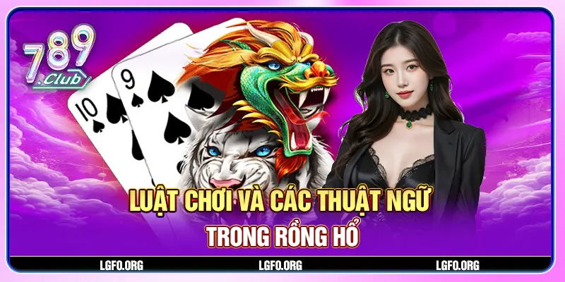 Luật chơi và các thuật ngữ trong Rồng Hổ